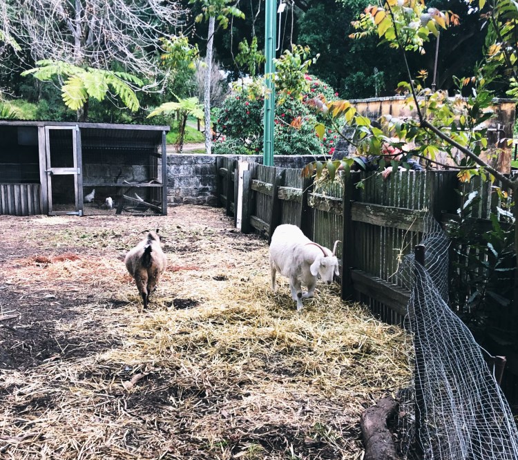 WeChat Image_20180923174432.jpg