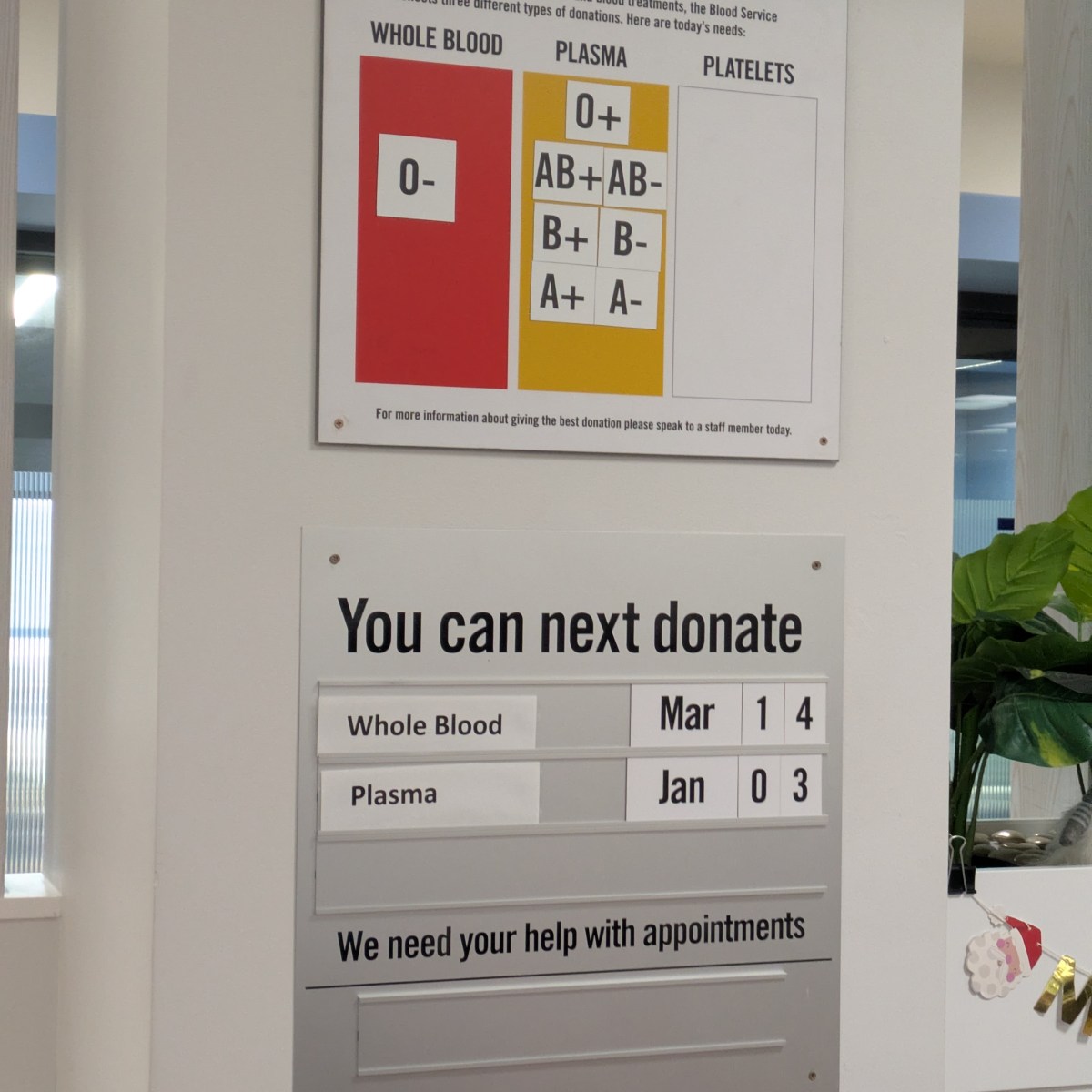 澳洲捐血體驗：Lifeblood流程與經典美食